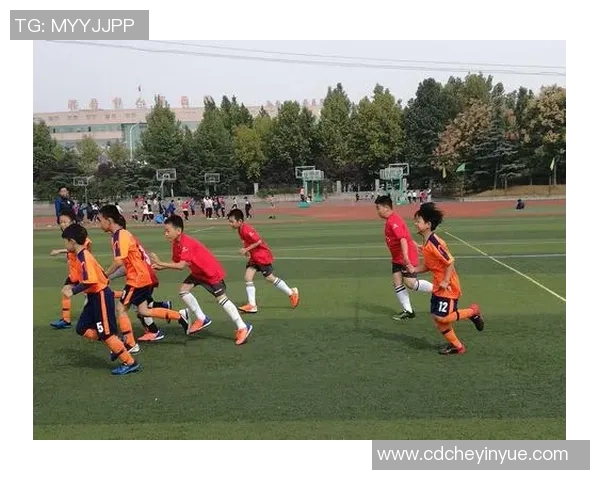 追逐梦想的绿茵场我想成为足球明星的奋斗历程与心路历程