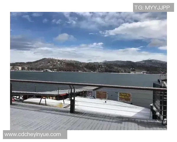 足球赛事直播全景体验尽在球街畅游尽享激情与乐趣